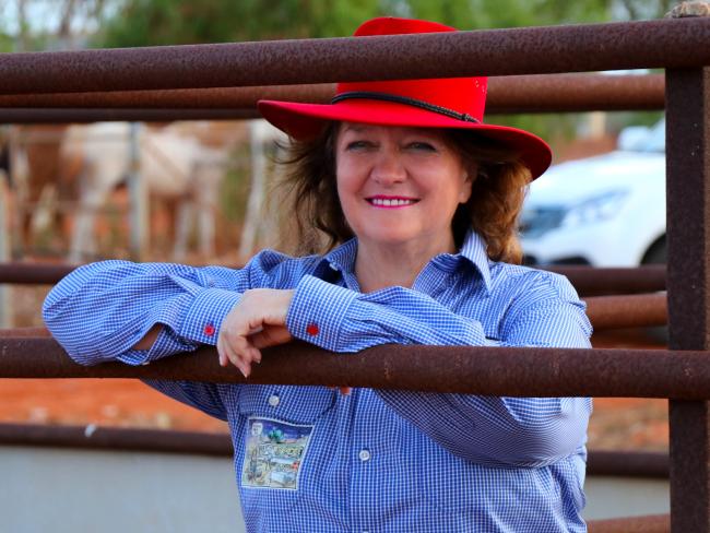 Mining magnate and Hancock Chairman Gina Rinehart now owns S. Kidman & Co. Mining magnate and Hancock Chairman Gina Rinehart now owns S. Kidman & Co.
