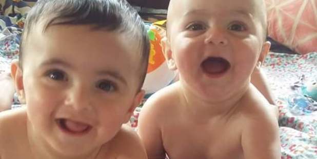 Thieves broke in and stole the eight-month-old twins' placentas from the freezer. Photo / Supplied
Thieves broke in and stole the eight-month-old twins' placentas from the freezer. Photo / Supplied