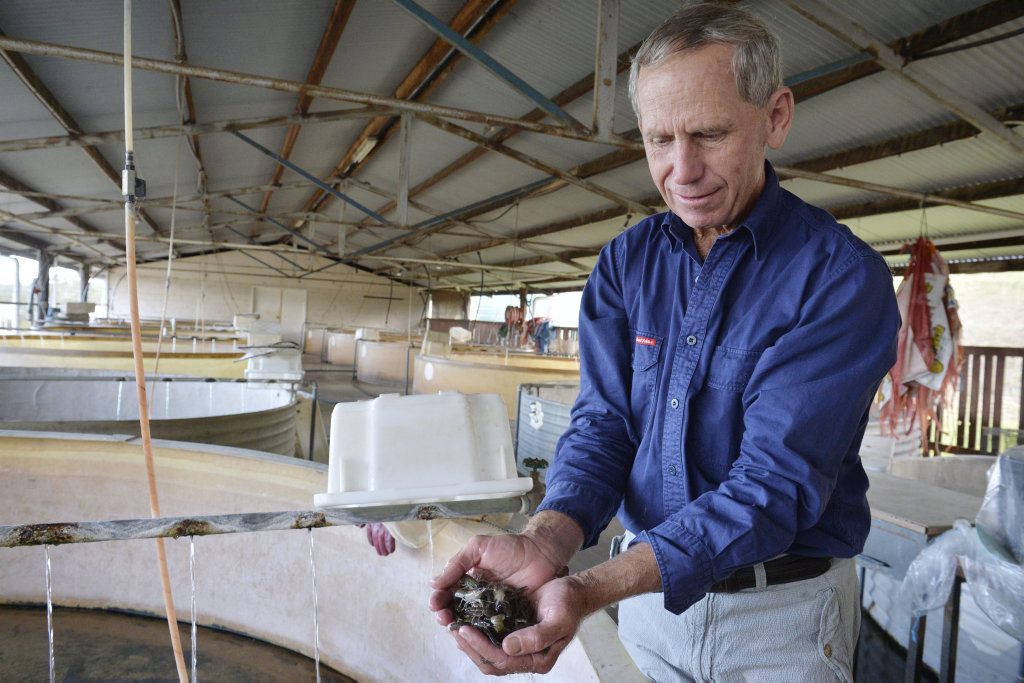 Rob Hutchings from Freshwater Crayfish Traders at Tarome. Rob Hutchings from Freshwater Crayfish Traders at Tarome.