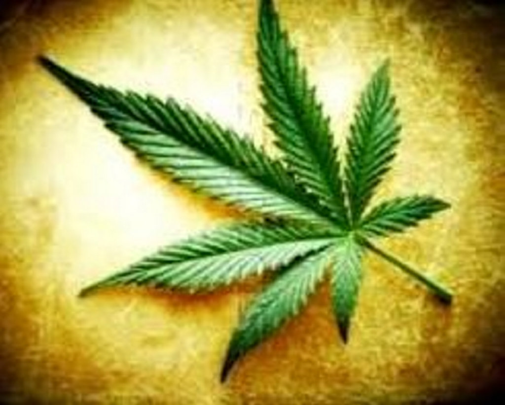 Generic image of cannabis.