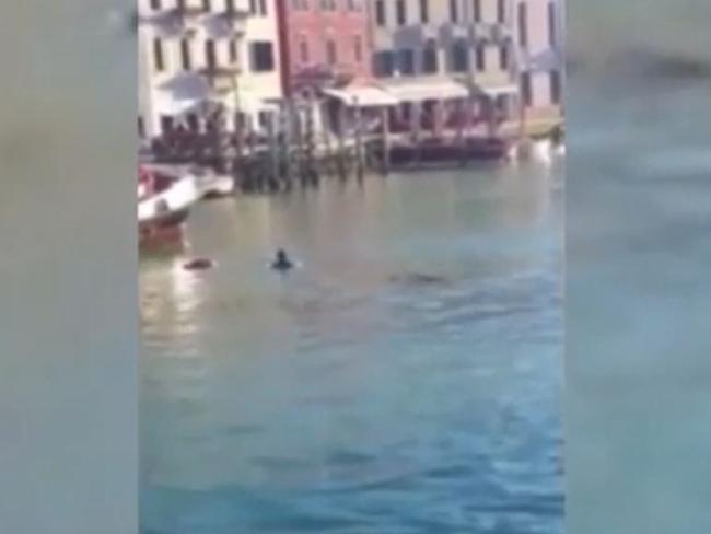 In trouble: The man struggles in the water as tourists watch from a boat. In trouble: The man struggles in the water as tourists watch from a boat.
