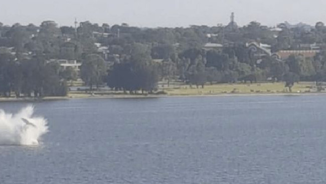 The plane crashes into the Swan River in Perth, with this image caught on social media. The plane crashes into the Swan River in Perth, with this image caught on social media.
