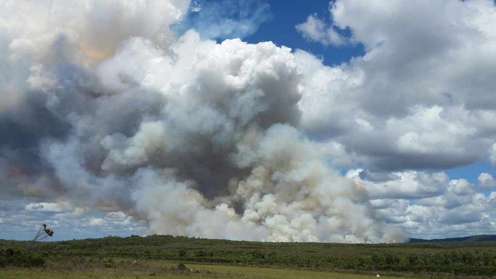 National Parks and Wildlife Service and NSW Rural Fire Service crews are working to contain a number of fires burning in the Yuraygir National Park area south of Brooms Head and to the east of Grafton. The fire is not currently threatening property. National Parks and Wildlife Service and NSW Rural Fire Service crews are working to contain a number of fires burning in the Yuraygir National Park area south of Brooms Head and to the east of Grafton. The fire is not currently threatening property.