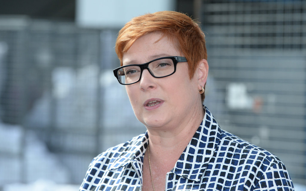 Defence Minister Marise Payne says Australia would contemplate entering Syrian conflict zone Defence Minister Marise Payne says Australia would contemplate entering Syrian conflict zone