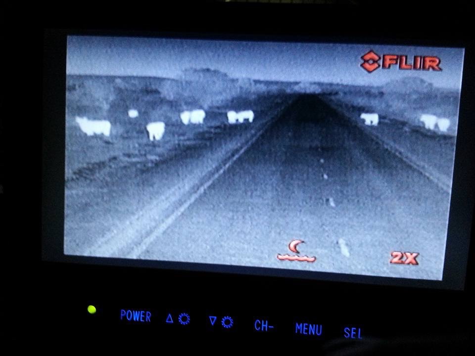 Animals spotted by the thermal camera attached to a truck during a trial in WA.