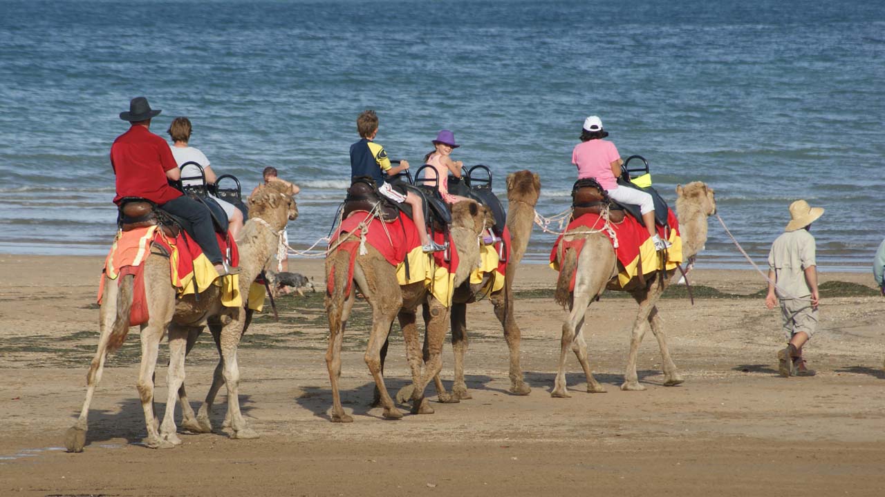 Take a camel ride on the beach Take a camel ride on the beach