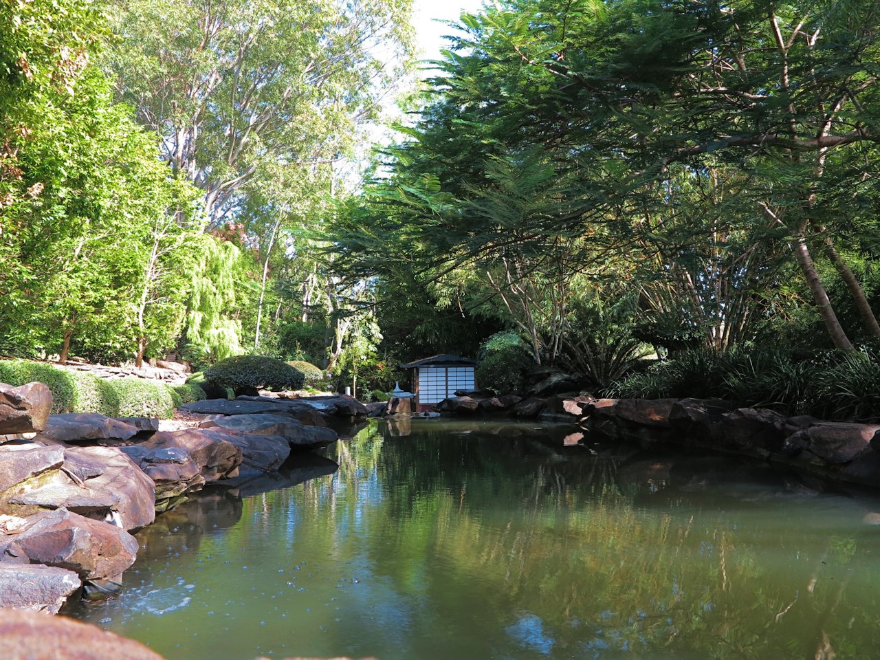 10 things you need to try at least once in Bundaberg News Mail