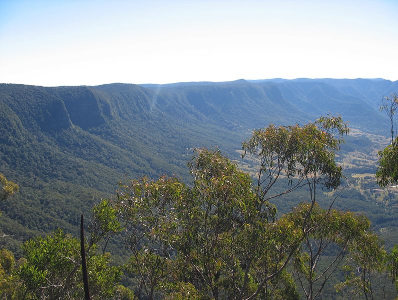 Border Ranges National Park from the Pinnacle. Border Ranges National Park from the Pinnacle.