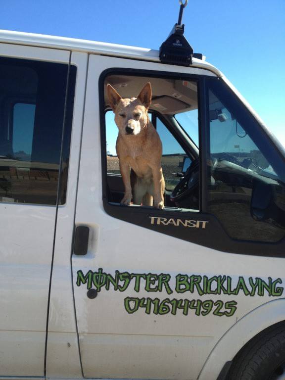 Missing dog in Gladstone. Missing dog in Gladstone.