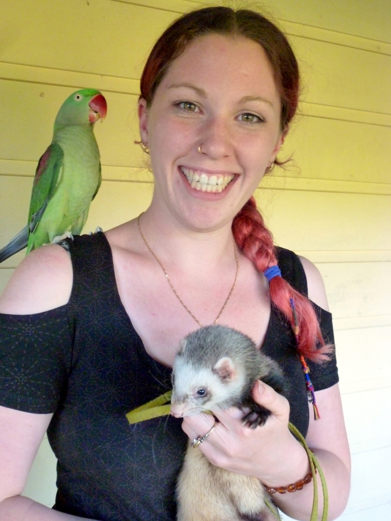 Kate Fernandes with Jinx the ferret and Alex the Alexandrine parrot. Kate Fernandes with Jinx the ferret and Alex the Alexandrine parrot.