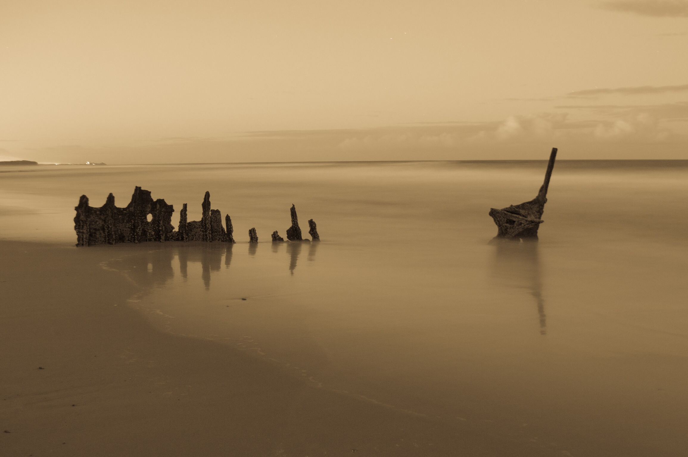 SS Dicky by Paul Frahm SS Dicky by Paul Frahm