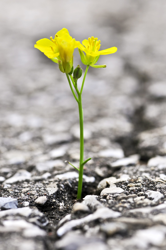 PTSD sufferers address spirituality to rebuild lives © Glowimages PTSD sufferers address spirituality to rebuild lives © Glowimages