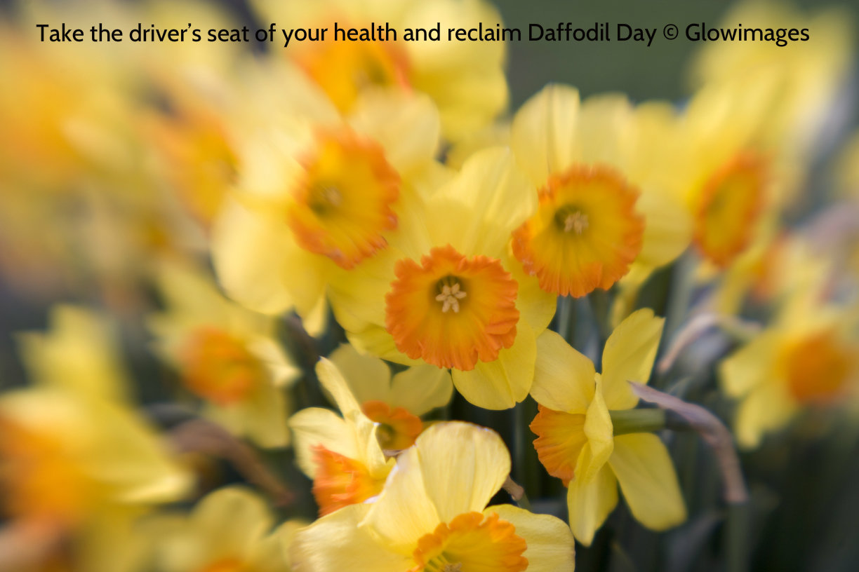 Healthier views are springing up amidst the well-meaning daffodils Healthier views are springing up amidst the well-meaning daffodils