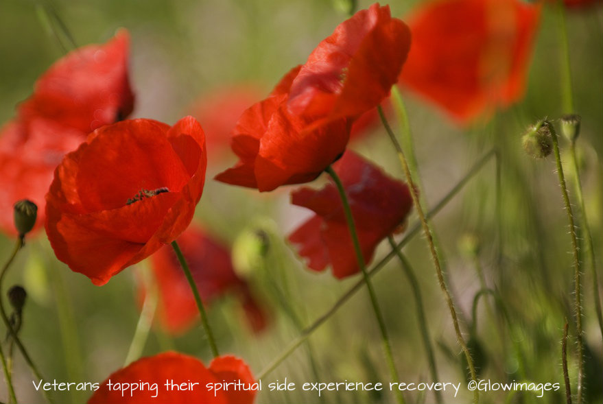 Remembrance Day: Veterans focus upward and outward to heal Remembrance Day: Veterans focus upward and outward to heal