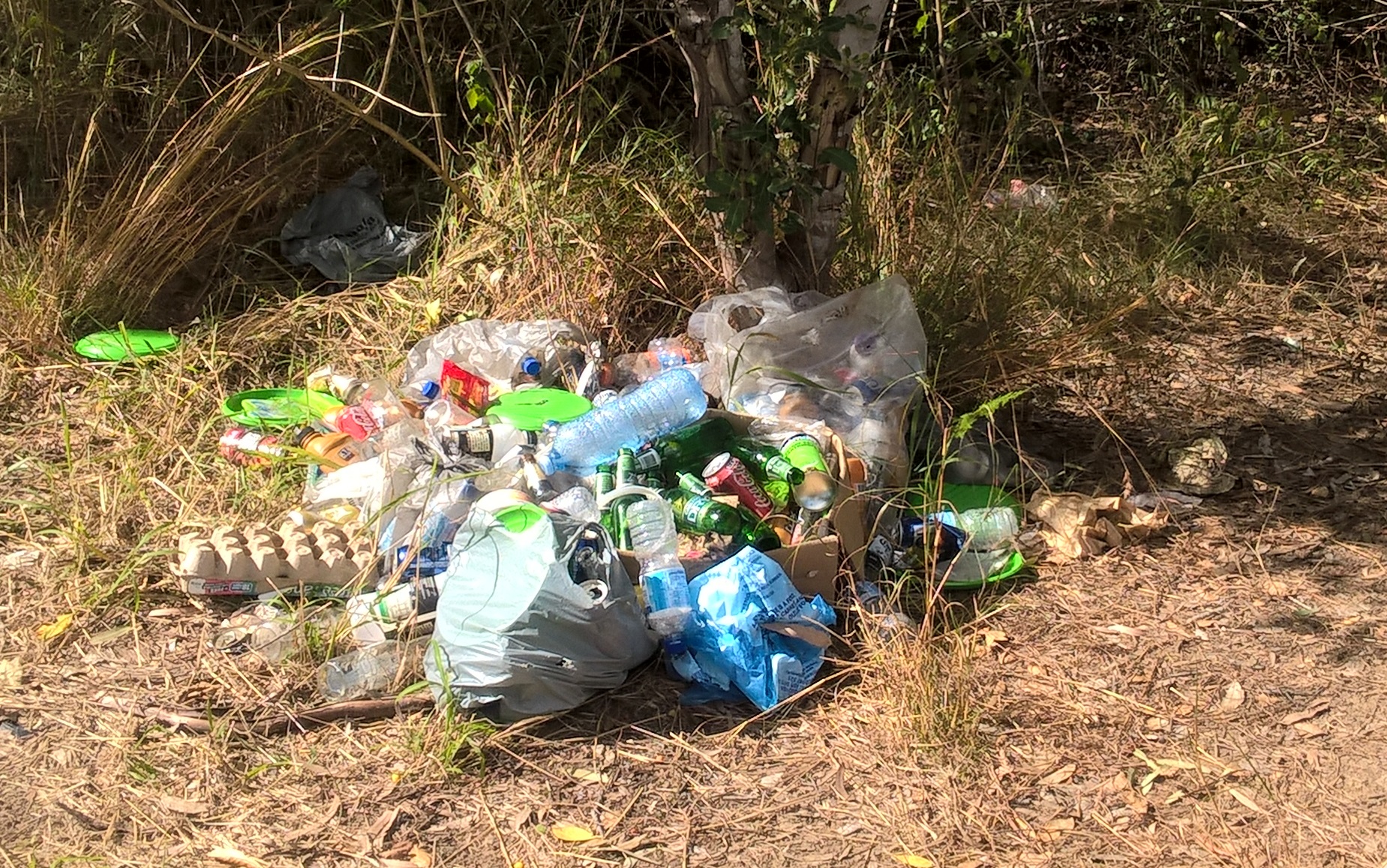 Litter Grubs Litter Grubs