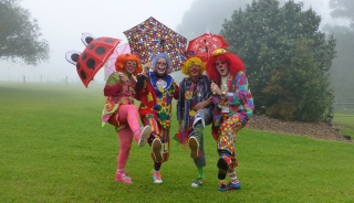 Photo:  Pockets, Cookie, Aldo and Rocco marching-on in Maleny to visit an aged care facility