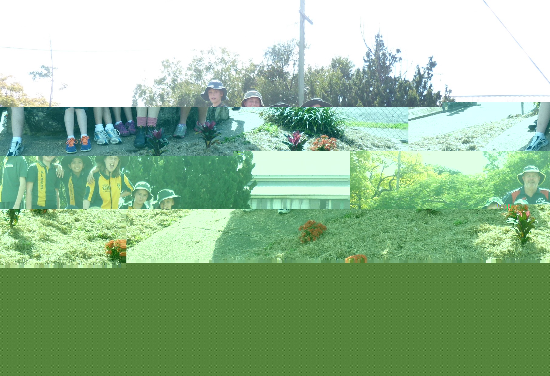 Albert State School students get their hands dirty for Planet Ark's National Tree Day