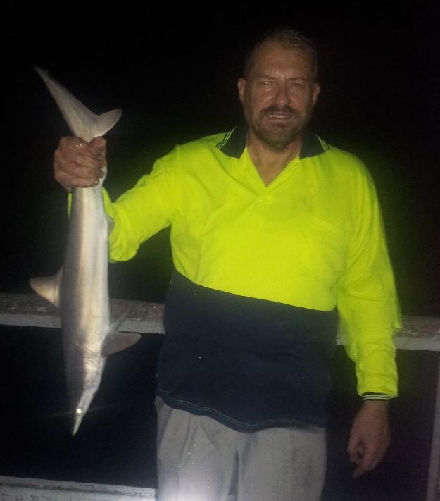 Pier Fishing with Urangan Rod Hire Fraser Coast Chronicle