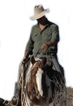 Are you Election Ready?