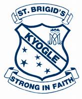 St Brigid's Cross Country/Adidas Fun Run