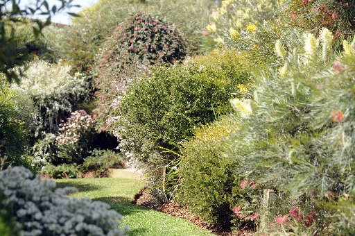  The garden of Gordon and Maria Reynolds. Photo by Bev Lacey