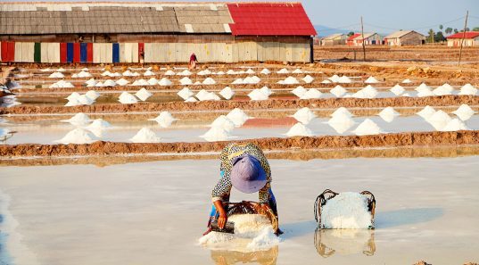 The salt fields of Kampot. The salt fields of Kampot.