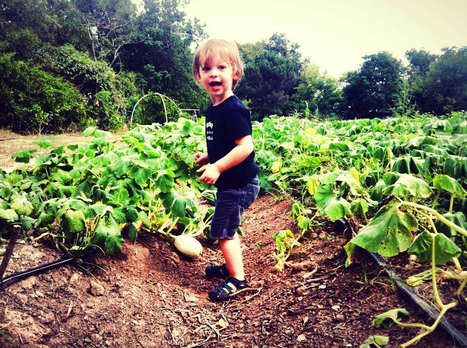 Community Farms are spaces of Joy & Connection Community Farms are spaces of Joy & Connection