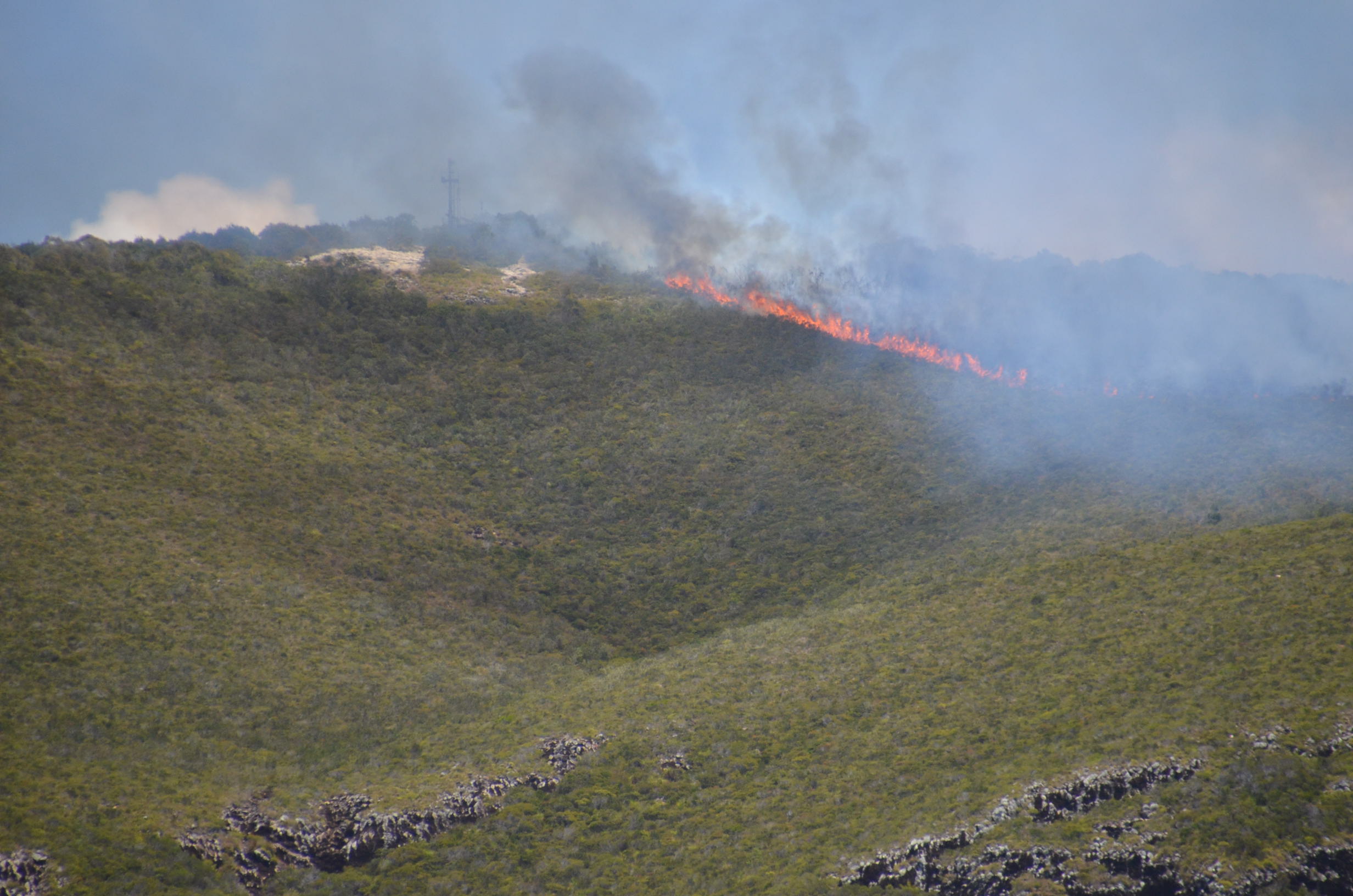 Mt Coolum walking track fire